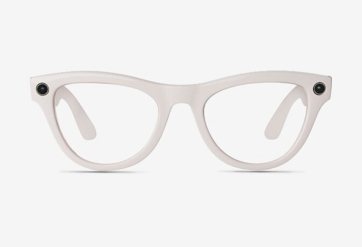 Meta Glasses (special order)