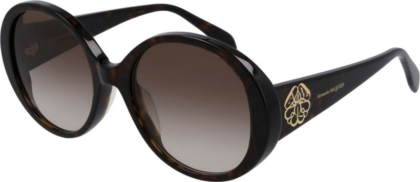 McQueen  Tortoise